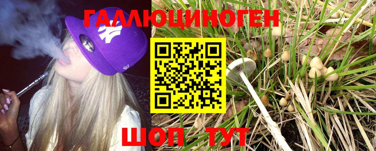 Псилоцибиновые грибы Cubensis Туймазы