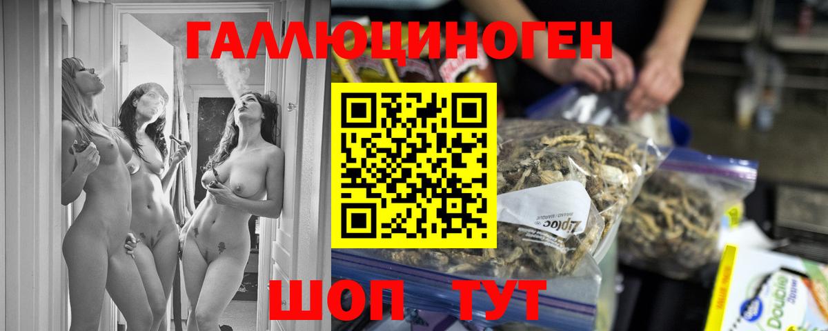 Туймазы  Псилоцибиновые грибы мицелий  Вход с VPN 
